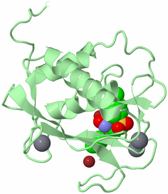 Image Biological Unit 2