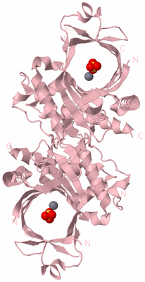 Image Biological Unit 2