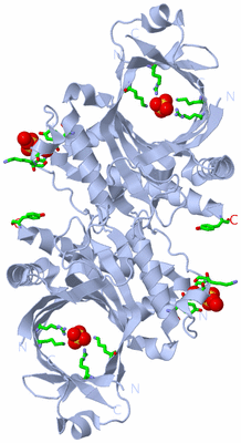 Image Biol. Unit 1 - sites