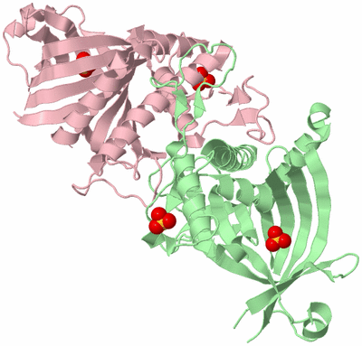 Image Biological Unit 2