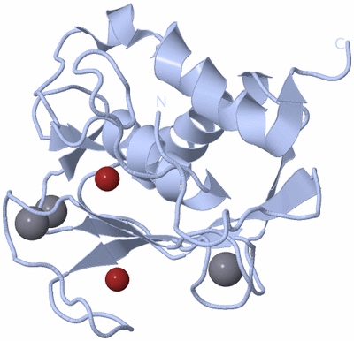 Image Biological Unit 1