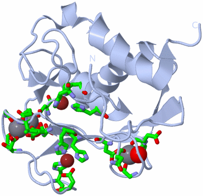 Image Biol. Unit 1 - sites