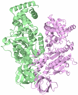 Image Biological Unit 2