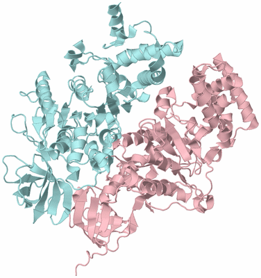 Image Biological Unit 3