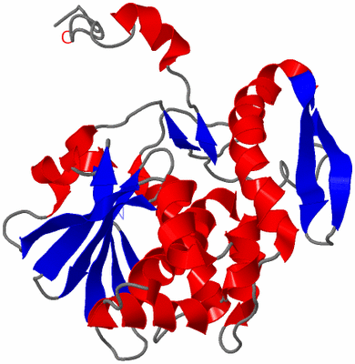 Image NMR Structure - model 1