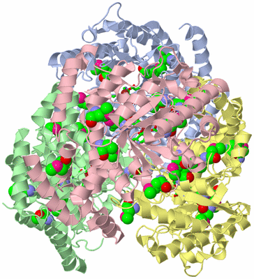 Image Asym./Biol. Unit - sites