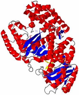 Image Asym./Biol. Unit