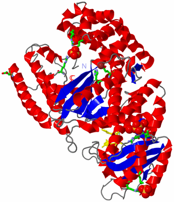 Image Asym./Biol. Unit - sites