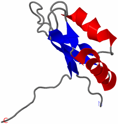 Image NMR Structure - model 1