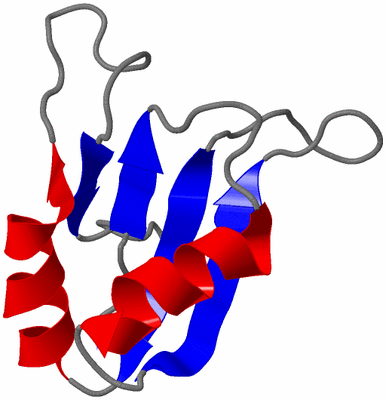 Image NMR Structure - model 1