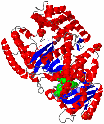 Image Asym./Biol. Unit