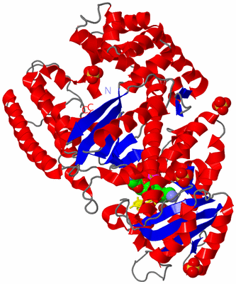 Image Asym./Biol. Unit