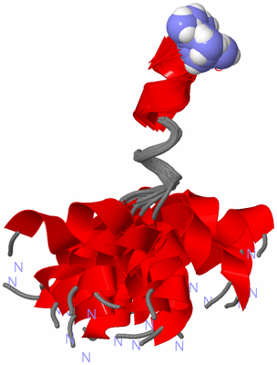 Image NMR Structure - all models