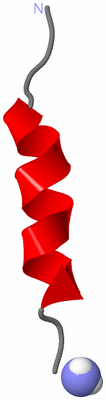 Image NMR Structure - model 1