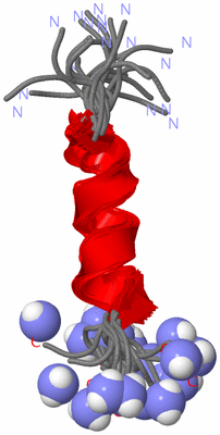 Image NMR Structure - all models