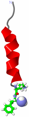 Image NMR Structure - model 1, sites