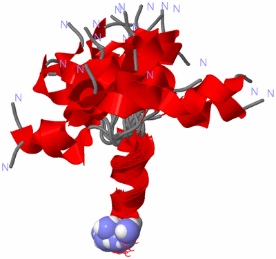 Image NMR Structure - all models