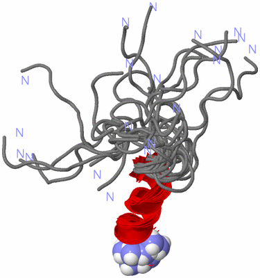 Image NMR Structure - all models