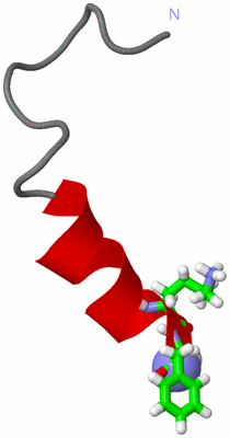 Image NMR Structure - model 1, sites