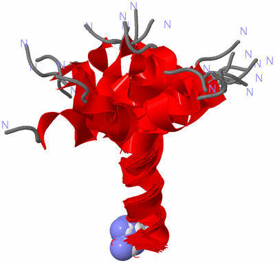 Image NMR Structure - all models