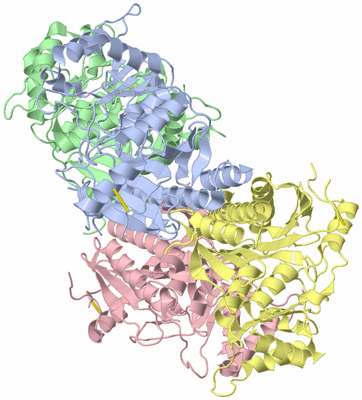 Image Asym./Biol. Unit