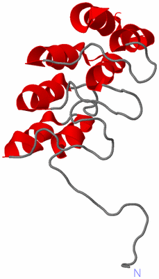 Image NMR Structure - model 1