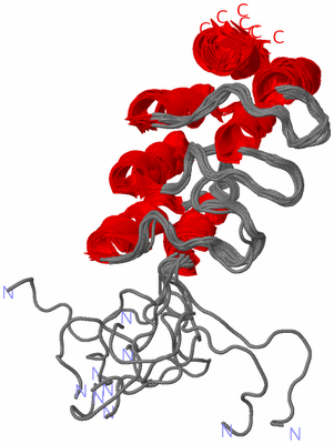 Image NMR Structure - all models