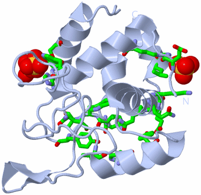 Image Biol. Unit 1 - sites