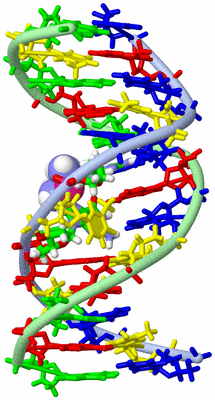 Image NMR Structure - model 1, sites