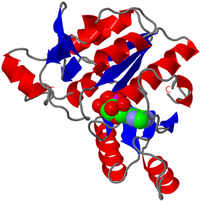 Image Asymmetric Unit
