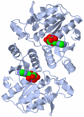 Image Biological Unit 1