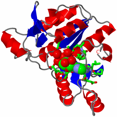Image Asym. Unit - sites