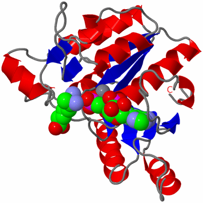 Image Asymmetric Unit