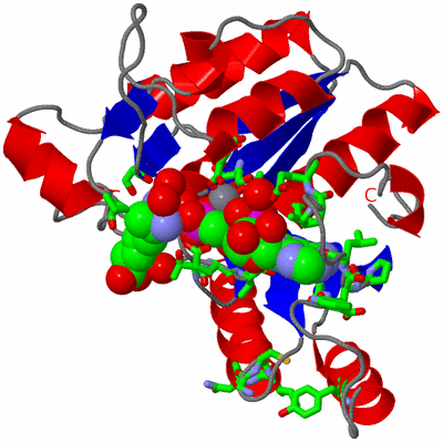 Image Asym. Unit - sites