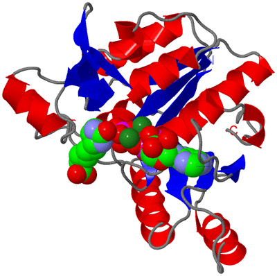Image Asymmetric Unit