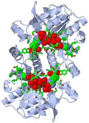 Image Biol. Unit 1 - sites