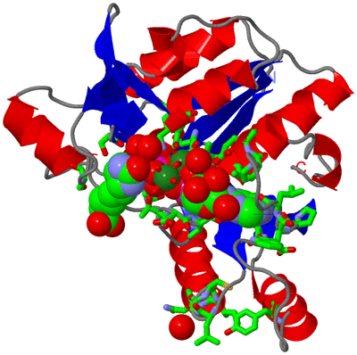 Image Asym. Unit - sites