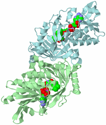 Image Biological Unit 2