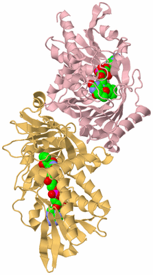 Image Biological Unit 3