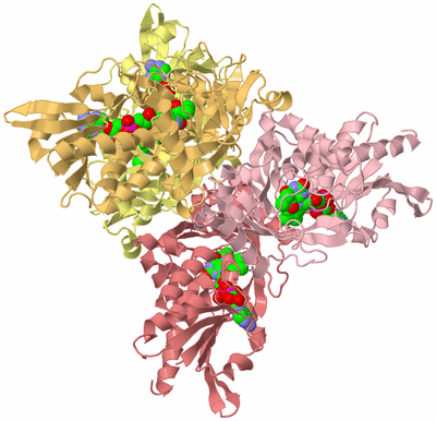 Image Biological Unit 5