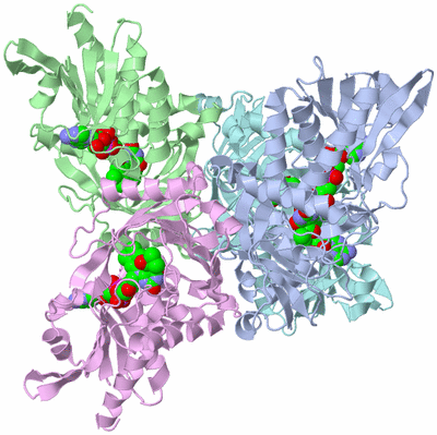 Image Biological Unit 6