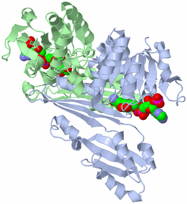 Image Asym./Biol. Unit