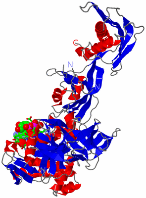 Image Asym./Biol. Unit - sites