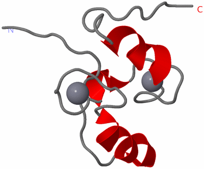 Image NMR Structure - model 1