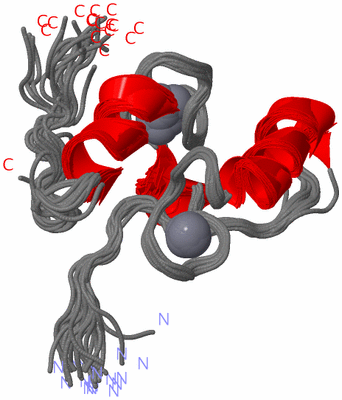 Image NMR Structure - all models