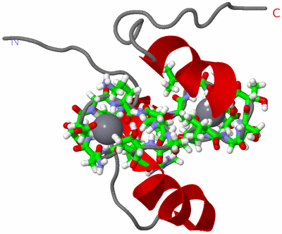 Image NMR Structure - model 1, sites