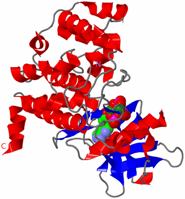 Image Asym./Biol. Unit