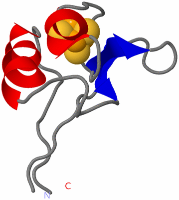Image NMR Structure - all models