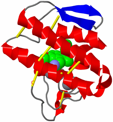 Image Asym./Biol. Unit