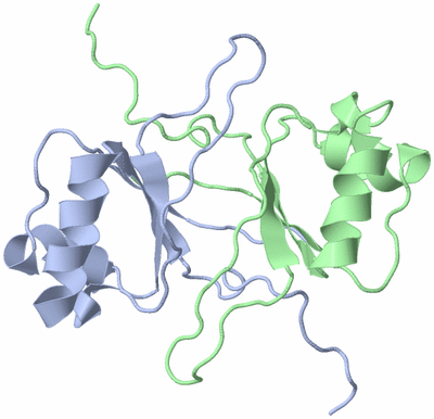 Image NMR Structure - model 1